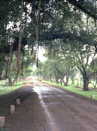 Road_to_Meherabad_from_'Nagar_Aug_1968