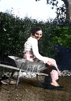 new2.244-colorize